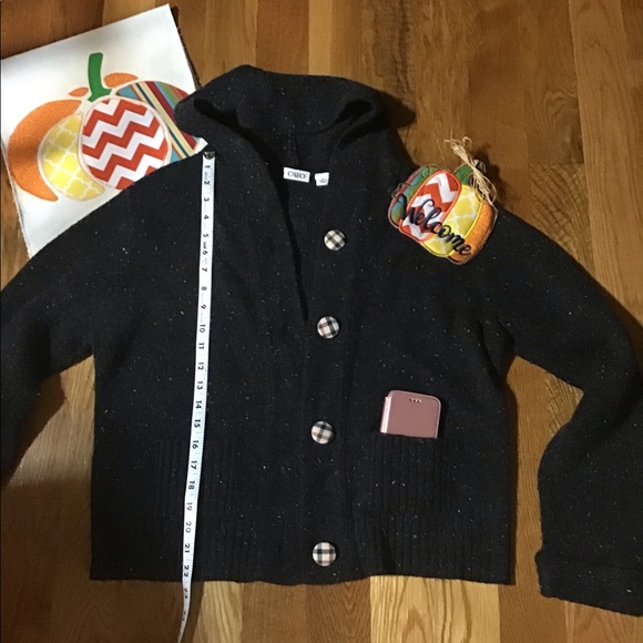 Cato Sweaters - Women’s size Large Cato sweater with hood